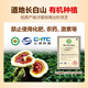 Jinglemei Big Package] Break-block Ganoderma lucidum spore powder Changbai Mountain rich in spore oil for middle-aged and elderly people to strengthen the spleen and stomach to nourish the essence and energy. Massage package [1500g]