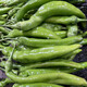 Spicy pepper seeds, golden screw green pepper, pig intestine pepper seeds, garden field balcony potted vegetable seeds, new horn pepper, slightly spicy, about 300 capsules 1 pack