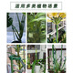 Shanghai Gardener Plant Support Pole Monstera Flower Support Frame Green Planting Gardening Vegetables Tomato Climbing Frame Prevent Lost Fixed Artifact 30cm/3 high roots 6 snaps + 3 floor inserts