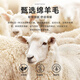 Raidy Boer/雷迪波尔【可机洗易打理】男秋季针织毛衣开衫5407-70 黑色  175/50/L