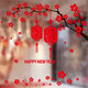 Woya Woya Spring Festival festive stickers shop shopping mall window glass stickers New Year's Day decorations T style XD6623 big