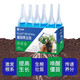 Aishangke plant regenerator universal concentrated nutrient solution powerful germination, rooting and seedling resurrection liquid dead tree flowers universal type 18g 18 bottles three boxes buy two get one free