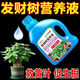 Aishangke Money Tree Nutrient Solution, the leaves turn yellow and fall off, the roots rot and the leaves fall off. Special fertilizer to promote roots, seedlings and sprouts without dilution. Buy 2 get 1 free. 3 bottles*500ml.