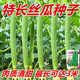 Long luffa seeds are planted in all seasons, early maturing snake-shaped luffa garden pots contain luffa, meat and vegetable seeds. The flesh is sweet. Long luffa seeds are planted all year round. Original 75 capsules. 88% people choose it.