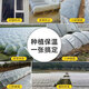 Runhuanian white transparent agricultural thickened small shed special film vegetable field insulation film winter 2 meters wide 4 wires thick agricultural small shed film 5 meters long