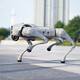 Yushu (Uniree) robot chien go2 go2 voix ai grand modèle robot chien électronique chien en relief renonce