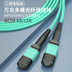 广昌兴（G.C.X）MPO-MPO电信光纤跳线OM3/OM4万兆多模100G B极性母头阻燃低烟无卤支持40g光模块收发器尾纤连接线 OM3（12芯）MPO-MPO 25米