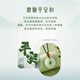 ALLOVE Pixiu Hetian Jade Pendant for Men and Women Safety Button Jade Pendant Necklace Birthday Gift for Boyfriend and Husband Practical for Marriage
