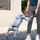Yushu (Uniree) robot chien go2 go2 voix ai grand modèle robot chien électronique chien en relief renonce