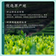 茶一馆茶叶 2025新茶 特级安溪铁观音清香型乌龙茶礼盒装500g送礼送长辈