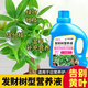 Aishangke Money Tree Nutrient Solution, the leaves turn yellow and fall off, the roots rot and the leaves fall off. Special fertilizer to promote roots, seedlings and sprouts without dilution. Buy 2 get 1 free. 3 bottles*500ml.