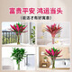 Lucky Double Color Lucky Bamboo Hydroponic Plants Mixed with Green Plants and Flowers for Buddha Good Luck and Wealth Red Vermilion Banana Chinese Valentine's Day Red Vermilion Banana + Lucky Bamboo 60CM (8 Branches)
