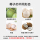 Xianyouji Hainan Wenchang Coconut Green Large Fruit Fresh Coconut Pregnant Women Coconut Picked Now Delivery Coconut Opener and Straw 6 pieces with coconut opener and straw (single fruit 900g+