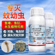 Escherichia coli, Bacillus thuringiensis mosquito larvae medicine to eliminate larvae eggs, fish tank, fish pond, pond insecticide 100ml
