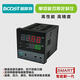 XMSJ Intelligent Single-Loop Digital Display Regulator Temperature Pressure Level Controller Table Pt1004-20mA0 Customized Intelligent Column Display Device