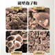 Shiyintang Ganoderma Lucidum Spore Powder Powder Box Guanxian Ganoderma Lucidum Health Products Envoyez directement des cadeaux aux anciens 2g / sac * 60 sacs 120g