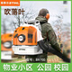 STIHL hair dryer snow blower backpack wind fire extinguisher forest fire high power hair dryer STIHL DR800