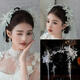 Princess Shiyun Bride’s Noble Crown Headdress 2025 New Style Heavy Industry Korean Crystal Eyebrow Pendant Wedding Crown Meet Headband + Ear Clip