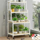 Ximofang [753 rachat] Balcone de fer Balconie Stand de fleurs intérieure salon étage de fleur de fleur de plancher balcon de plantation de légumes nanzhu nanzhu rack blanc une couche 60 hauteur 10 largeur 25-nanzhu