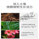 Tianhua Phosphate Fertilizer Flower Superphosphate Flower Fertilizer Vegetable Fertilizer Root Strengthening Fertilizer Regulator Soil Fertilizer Chemical Fertilizer Vegetable Farmer Phosphate Fertilizer Granules 3Jin Jin is equal to 0.5 kg