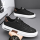 Playboy (PLAYBOY) men's shoes 2025 summer canvas shoes men's breathable board shoes ice silk casual sneakers black 41