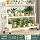 Ximofang [753 rachat] Balcone de fer Balconie Stand de fleurs intérieure salon étage de fleur de fleur de plancher balcon de plantation de légumes nanzhu nanzhu rack blanc une couche 60 hauteur 10 largeur 25-nanzhu