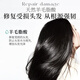 
Kao (KAO) wakes up without being messy Essential shampoo oil-controlled for a long time fluffy air-free silicone oil-free soft shampoo