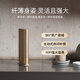 B&O Gong Jun endorses Beosound Emerge Bluetooth speaker home art audio b&o creative book speaker gold government subsidy New Year gift