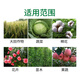 Guoguang Dwarf Show Package, Lawn, Hedge, Flowers, Sweet Potato, Peanut, Corn, Growth Regulator for Controlling Leggy and Stout Plants