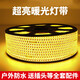 Fanyao Super Bright LED Light Strip Outdoor Waterproof Sun Protection Engineering Lighting Indoor Ceiling 52 Beads/M-Warm Light-10 Meters