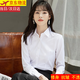 Harudi noble style long-sleeved shirt women's shirt formal wear business slim professional workwear no-iron autumn shirt women's white white long-sleeved style L (95-115Jin Jin equals 0.5 kg)