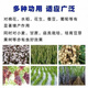 Xushansi agricultural potassium chloride Russian high-efficiency high-potassium flower instant fruit tree fertilizer vegetable universal red potassium fertilizer original package 50Jin Jin equals 0.5kg