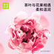 奈雪的茶 花养茶礼盒 126g 茉莉花菊花茶玫瑰桂花枸杞袋泡茶包 30袋装