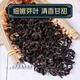 
Beijing Tongrentang raw materials Qingqian Liu tea Chinese medicinal materials Mulberry leaf tea Burdock corn squid special grade wild tea Jinqian Liu blood sugar [3 cans] Qingqian Liu 250g + corn squid 100g + mulberry leaf 250