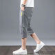 Ajuste de mendigo Ice Seda Sport Sport Pantalones Summer delgados Pantalones Cortados Pantalones Floos Harun Reloz Harun Recto de cinco partes Men [Packle Pack] 878 Seda de hielo Gris M M