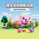 乐高（LEGO）积木拼装我的世界21268 猪宝宝房屋男孩女孩儿童玩具生日礼物