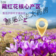 Saffron Special Selected Quality Gifts for Parents, Colleagues and Teachers for Iranian Tibet Tonic Tea Beverage Gift Box Te Grade Filament Saffron 20g Gift Box Pack