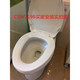 Toto Original SW784B CSW718B CSW728B SW743B CSW719B SW744B Коня Оригинал TotoSW784BCSW718BCSW