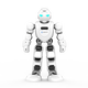 Ublic Artificial Intelligence Humanoid Robot Nanny AI ИГОВОЙ ИСТОРИЯ АКЛОКАЗАЦИЯ ACTOMOMPANGE CHAT для изучения детей программирования детей-программирования роботов можно запрограммировать на 6-12 лет, 130 AI Popular Science Programming Courses
