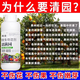 Orchard disinfecting spirit, fruit tree clearing agent, clearing full garden special bacteria to clear peach trees, plum trees, citrus trees, general fungicide, bottled orchard clearing agent