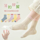 Yu Zhaolin 5 pairs of girls' socks in spring and summer thin boneless children's cool ice stockings medium big children's girl's middle tube princess cotton socks