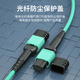广昌兴（G.C.X）MPO-MPO电信光纤跳线OM3/OM4万兆多模100G B极性母头阻燃低烟无卤支持40g光模块收发器尾纤连接线 OM3（12芯）MPO-MPO 25米
