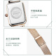Sanda Watch's Women's Small Green Watch Light Luxury Fashion Fashion Fashion