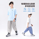 Zuoxi Boys Mosquito-Repellenthose Kinderhosen Sommer 2025 Neues dünnes, kühles, schnell trocknendes Jogginghose Gray 140