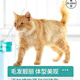 Dazzling Cat Food Adult Cats and Kittens Full Price General Cat Food British Shorthair Blue Cat Ragdoll Natural Food Fattening Hair and Gills 20 Jin Jin equals 0.5 kg 12 five packs * 4 Jin Jin equals 0.5 kg (a total of 20 Jin Jin equals 0.5 kg)