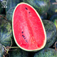 Dayu Black Beauty Watermelon Seeds Extra Large Super Sweet Black Skin Watermelon Seeds Early Maturity Suitable for the South Big Fruit Black Beauty Watermelon Seeds 300 capsules/bag