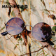 Jet 885 Lunettes de soleil steampunk rétro européennes et américaines
