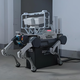 Tief im Cloud Roboter Dog kann Sekundärentwicklung Bobcat