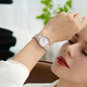 King calorique Zhijian Light and Luxury Niche Regardez le petit cadran féminin Tempérament polyvalent de la montre de montre imperméable de la femme Zhijian CK15839