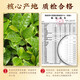 中谷御品茶叶铁观音乌龙茶特级安溪祥华兰花香浓香型新茶茶叶礼盒 【核心产区】铁观音礼盒500g